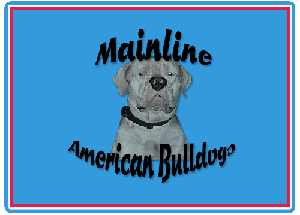 Welcome to Mainline American Bulldogs